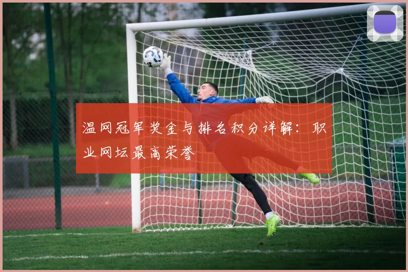 温网冠军奖金与排名积分详解：职业网坛最高荣誉
